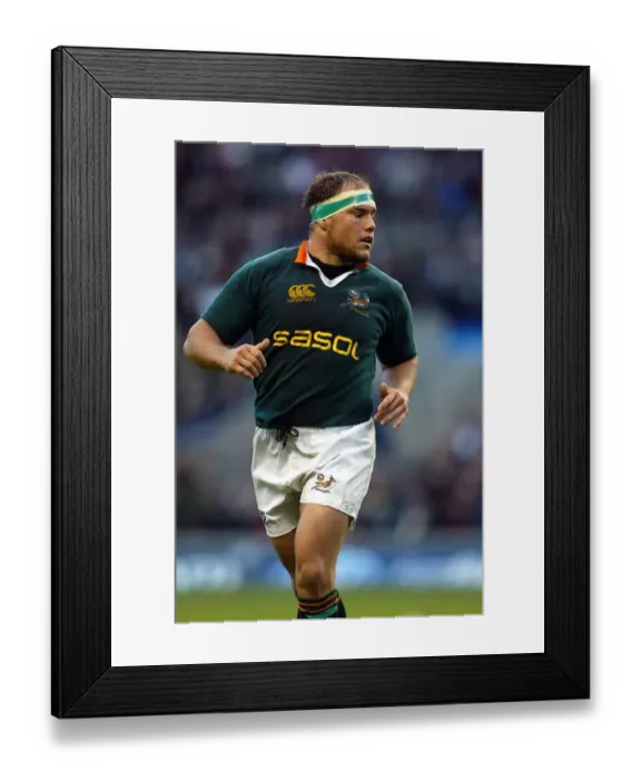 Framed Print : Bj Botha South Africa Rugby Union England V South Africa Twickenham Framed Print : Bj Botha South Africa Rugby Union England V South Africa Twickenham