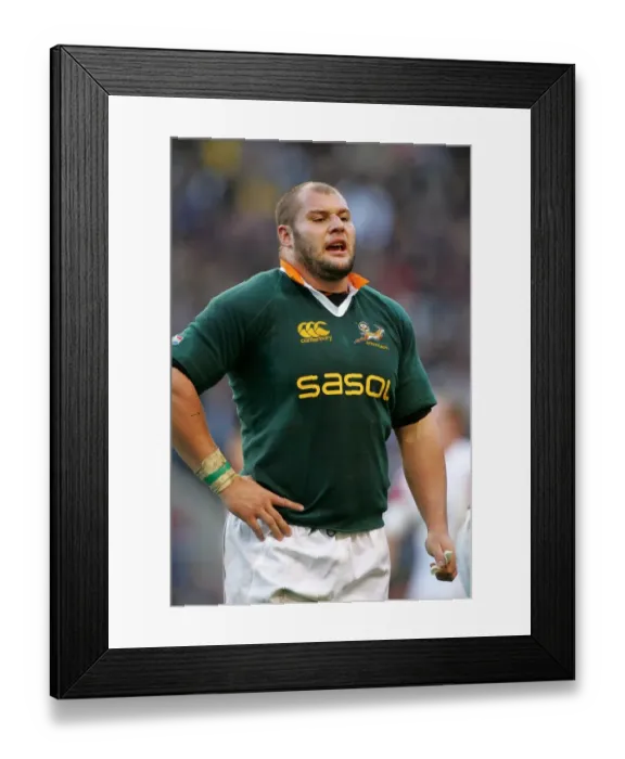 Framed Print : Cj Van Der Linde Framed Print : Cj Van Der Linde