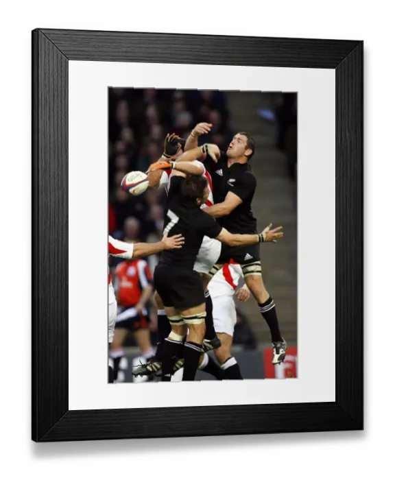 Framed Print : Ben Kay, Reuben Thorne & Richie Mccaw Framed Print : Ben Kay, Reuben Thorne & Richie Mccaw