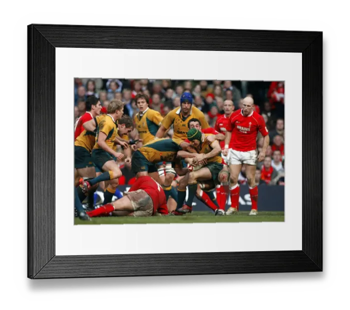 Framed Print : Matt Giteau & Jonathan Thomas Framed Print : Matt Giteau & Jonathan Thomas