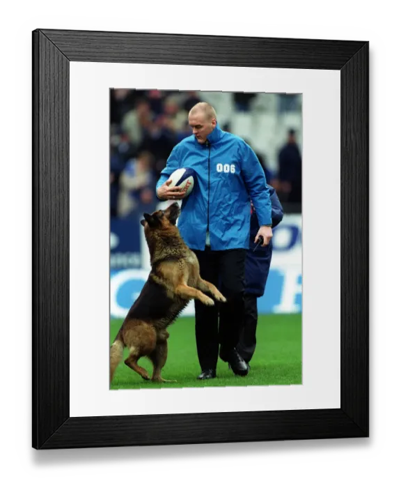 Framed Print : Dog On Pitch At Stade France Framed Print : Dog On Pitch At Stade France