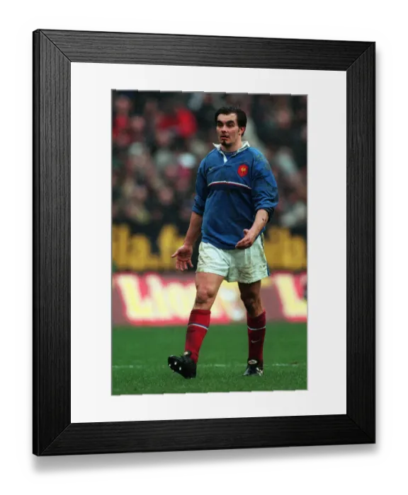 Framed Print : David Venditti Framed Print : David Venditti