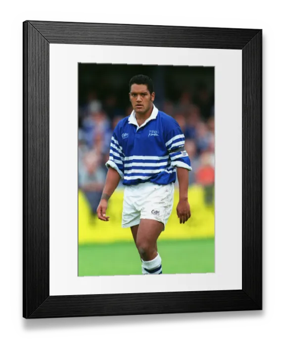 Framed Print : Niki Little Framed Print : Niki Little