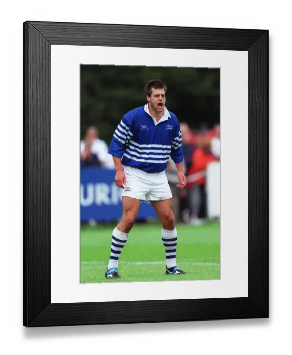 Framed Print : Steve Davidson Framed Print : Steve Davidson