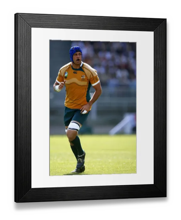Framed Print : Nathan Sharpe Framed Print : Nathan Sharpe