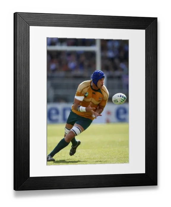 Framed Print : Nathan Sharpe Framed Print : Nathan Sharpe