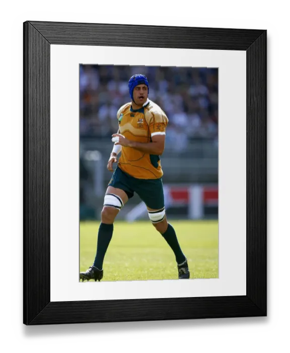 Framed Print : Nathan Sharpe Framed Print : Nathan Sharpe