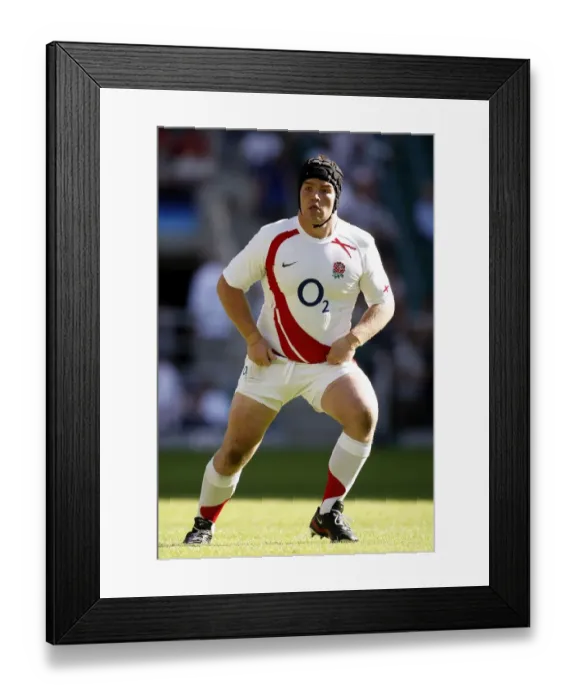 Framed Print : Matt Stevens Framed Print : Matt Stevens