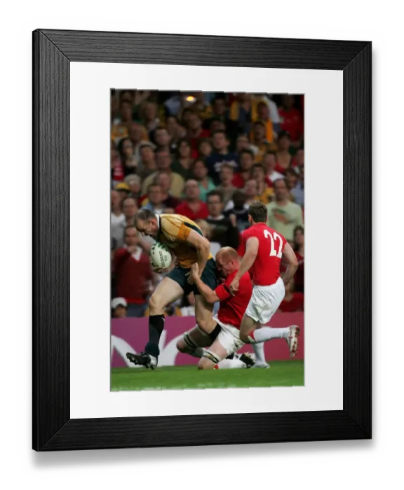 Framed Print : Stirling Mortlock Goes Over To Score Try