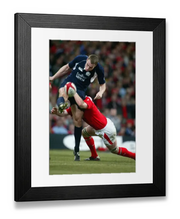 Framed Print : Andrew Henderson Framed Print : Andrew Henderson