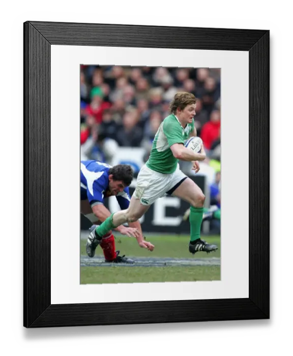 Framed Print : Brian O Driscoll Framed Print : Brian O Driscoll