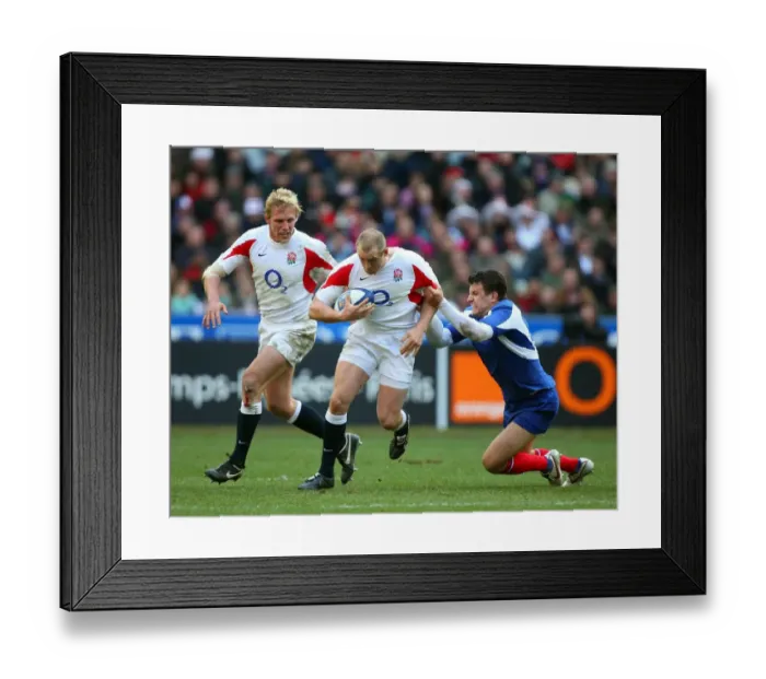 Framed Print : Damien Traille & Mike Tindall Framed Print : Damien Traille & Mike Tindall