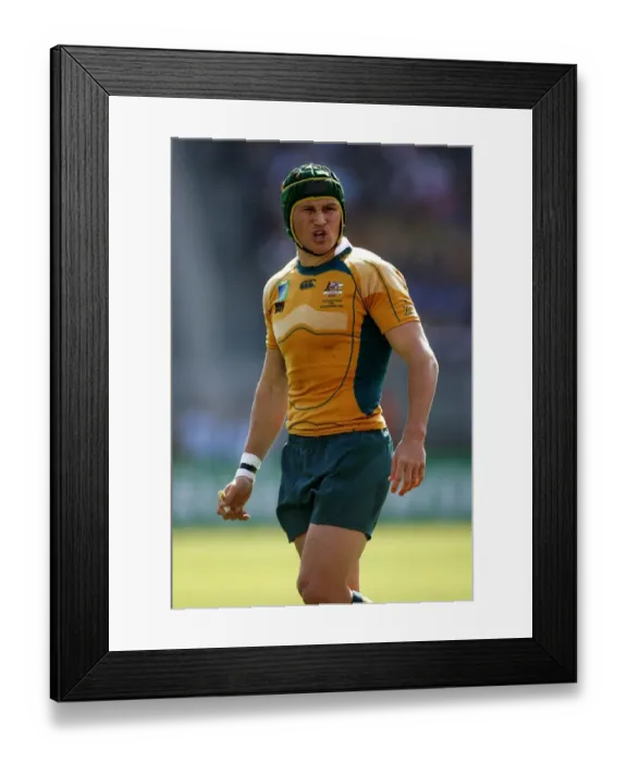 Framed Print : Matt Giteau Framed Print : Matt Giteau