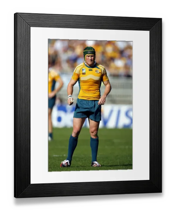 Framed Print : Matt Giteau Framed Print : Matt Giteau