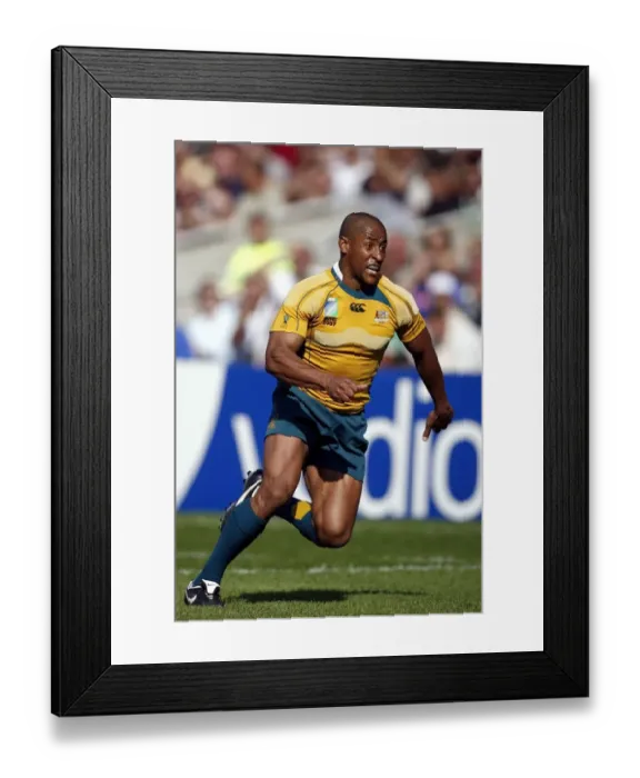 Framed Print : George Gregan Framed Print : George Gregan