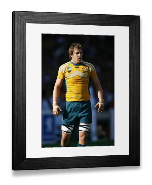 Framed Print : Stephen Hoiles Framed Print : Stephen Hoiles