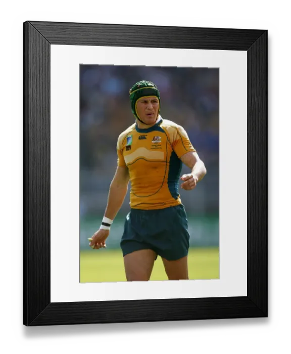 Framed Print : Matt Giteau Framed Print : Matt Giteau