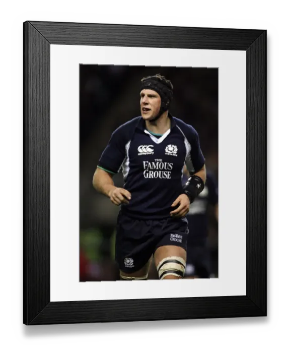 Framed Print : David Callam Framed Print : David Callam