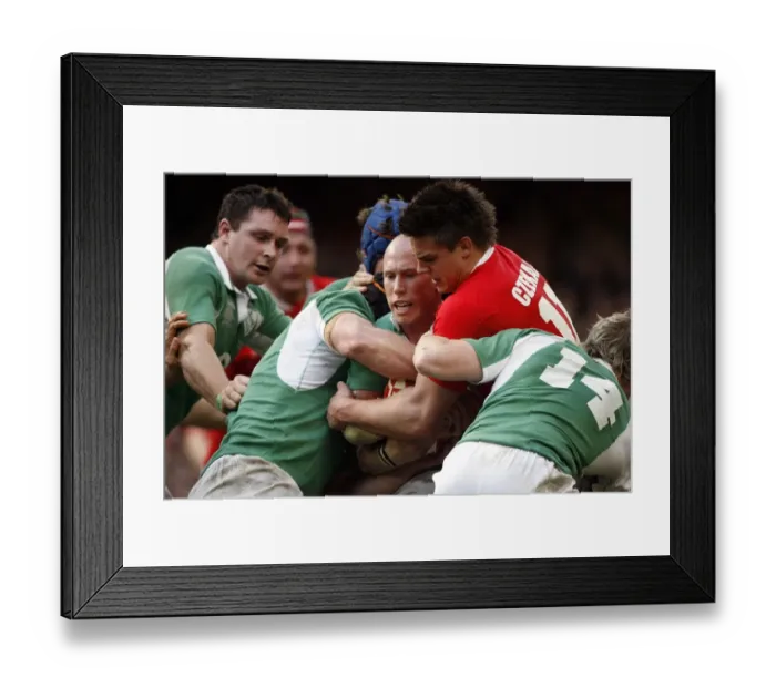 Framed Print : Denis Hickie, Peter Stringer & Chris Czekaj Framed Print : Denis Hickie, Peter Stringer & Chris Czekaj