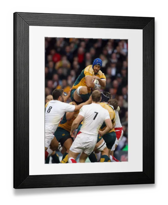 Framed Print : Nathan Sharpe Collects Ball