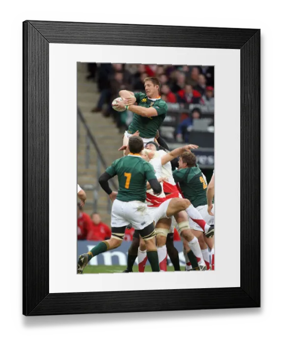 Framed Print : Bakkies Botha Wins Line Out Framed Print : Bakkies Botha Wins Line Out