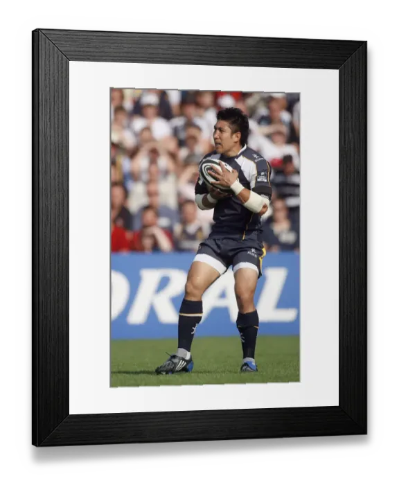 Framed Print : Loki Crichton Framed Print : Loki Crichton
