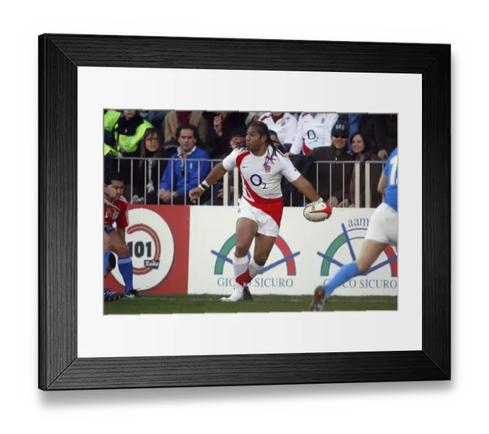 Framed Print : Lesley Vainikolo Framed Print : Lesley Vainikolo
