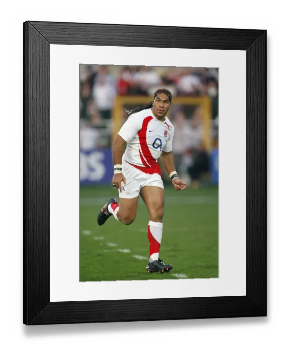 Framed Print : Lesley Vainikolo Framed Print : Lesley Vainikolo