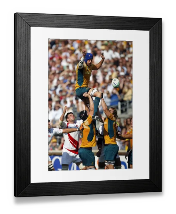 Framed Print : Nathan Sharpe Wins Line-Out Framed Print : Nathan Sharpe Wins Line-Out