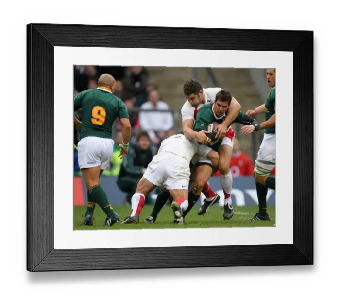 Framed Print : Ruan Pienaar, Nick Easter & Lee Mears Framed Print : Ruan Pienaar, Nick Easter & Lee Mears