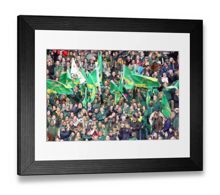 Framed Print : Jubilant Springbok Fans Framed Print : Jubilant Springbok Fans