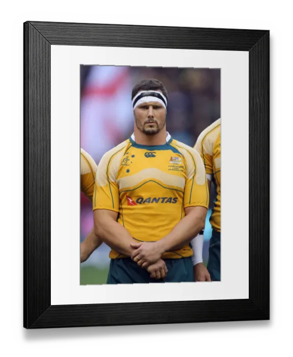 Framed Print : Al Baxter Australia Rugby Union England V Australia Framed Print : Al Baxter Australia Rugby Union England V Australia