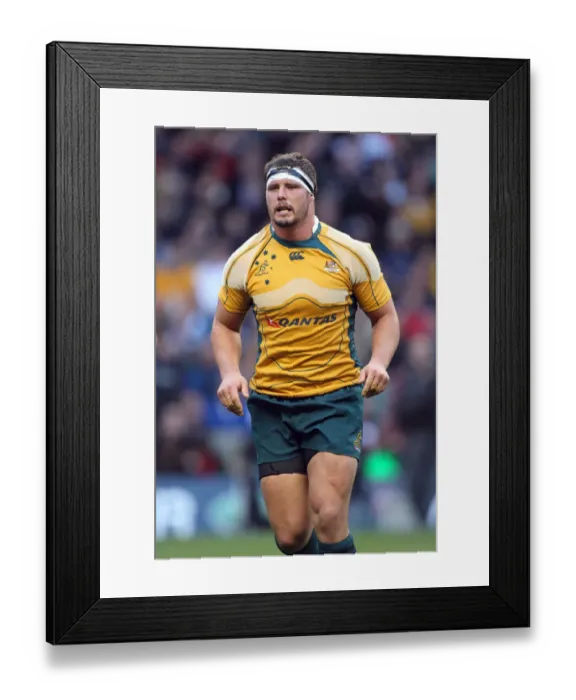 Framed Print : Al Baxter Australia Rugby Union England V Australia