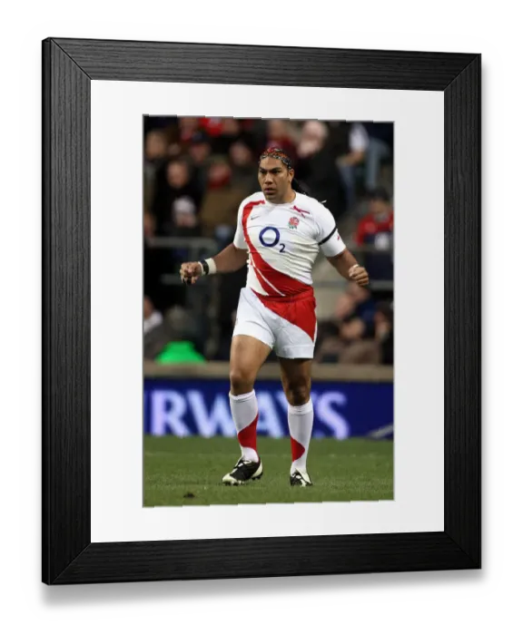 Framed Print : Lesley Vainikolo Framed Print : Lesley Vainikolo