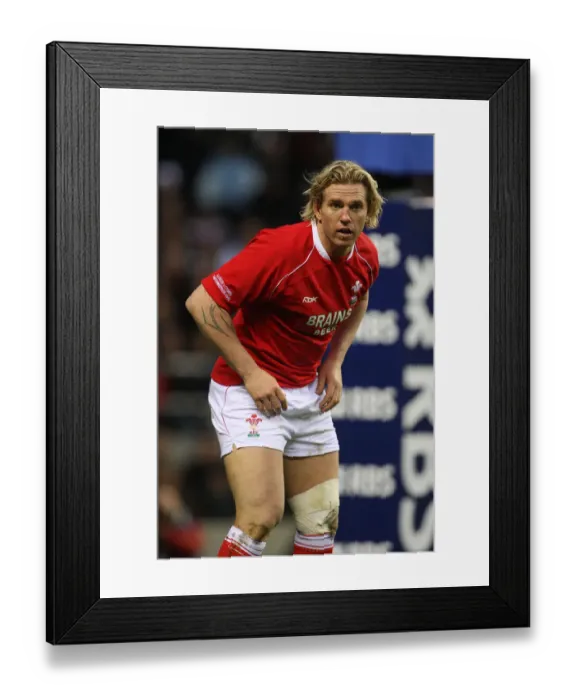 Framed Print : Alix Popham Framed Print : Alix Popham