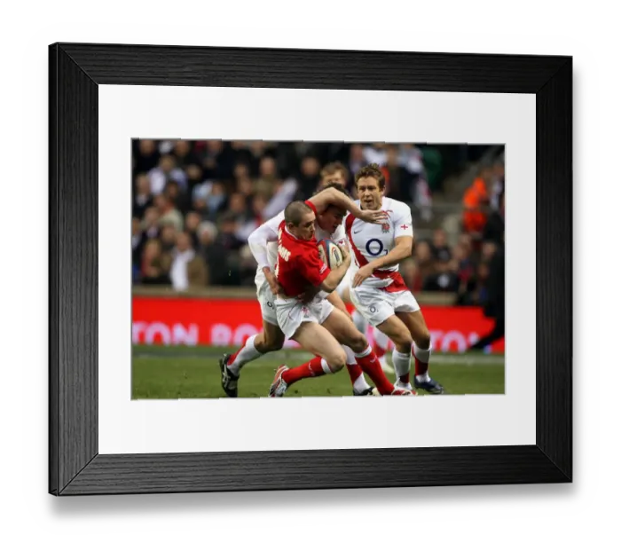 Framed Print : Shane Williams & Toby Flood Framed Print : Shane Williams & Toby Flood