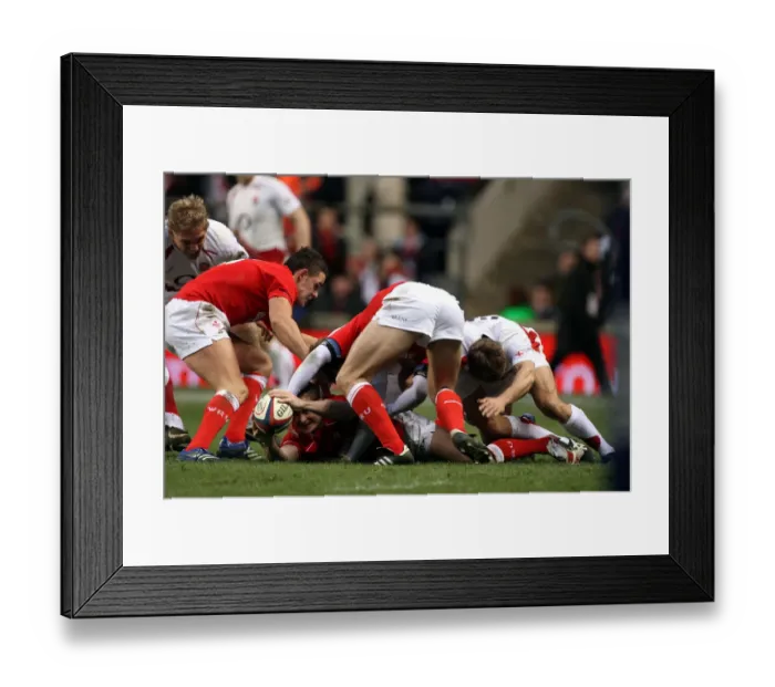 Framed Print : Shane Williams Releases Ball Framed Print : Shane Williams Releases Ball