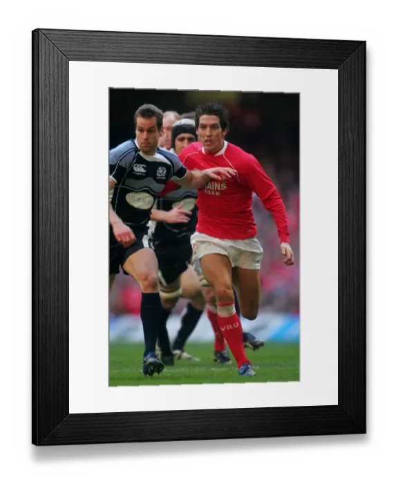 Framed Print : James Hook Framed Print : James Hook