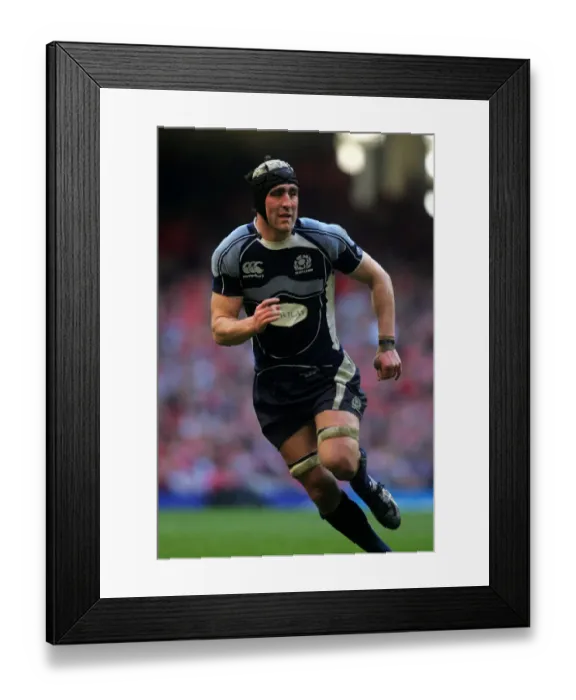 Framed Print : Kelly Brown Framed Print : Kelly Brown