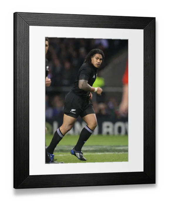 Framed Print : Ma A Nonu New Zealand Rugby Union England V New Zealand Framed Print : Ma A Nonu New Zealand Rugby Union England V New Zealand