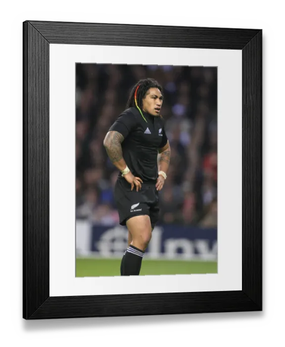 Framed Print : Ma A Nonu New Zealand Rugby Union England V New Zealand Framed Print : Ma A Nonu New Zealand Rugby Union England V New Zealand