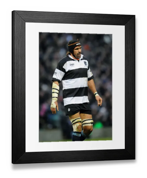 Framed Print : Victor Matfield Framed Print : Victor Matfield