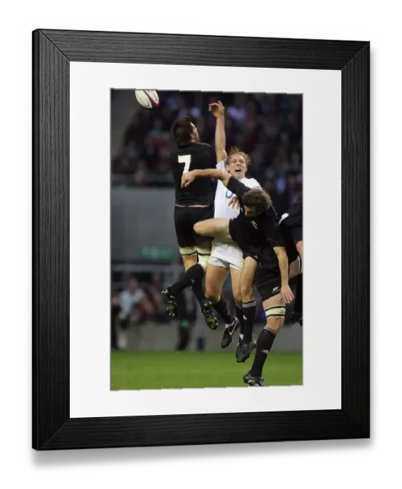 Framed Print : Lewis Moody & Richie Mccaw Framed Print : Lewis Moody & Richie Mccaw