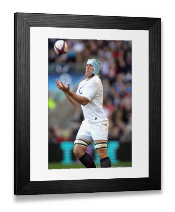 Framed Print : Jordan Crane Framed Print : Jordan Crane