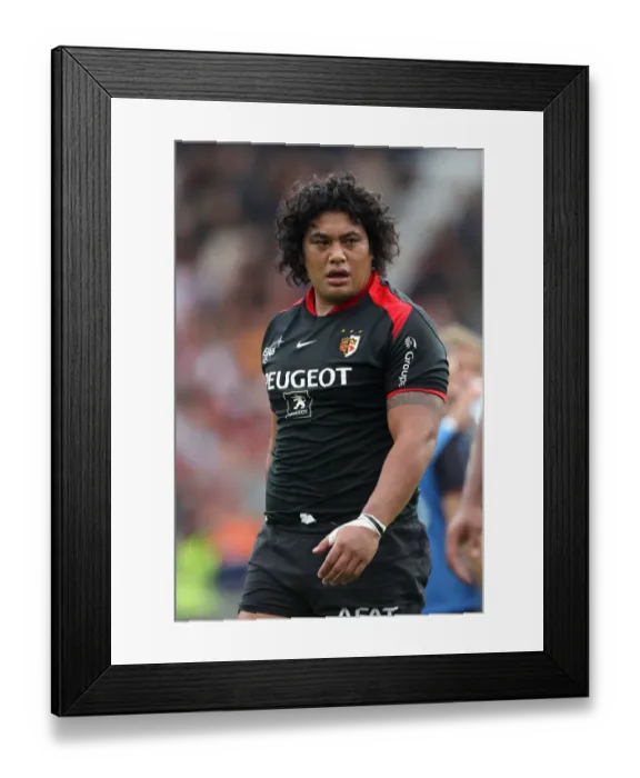Framed Print : Census Johnston Framed Print : Census Johnston