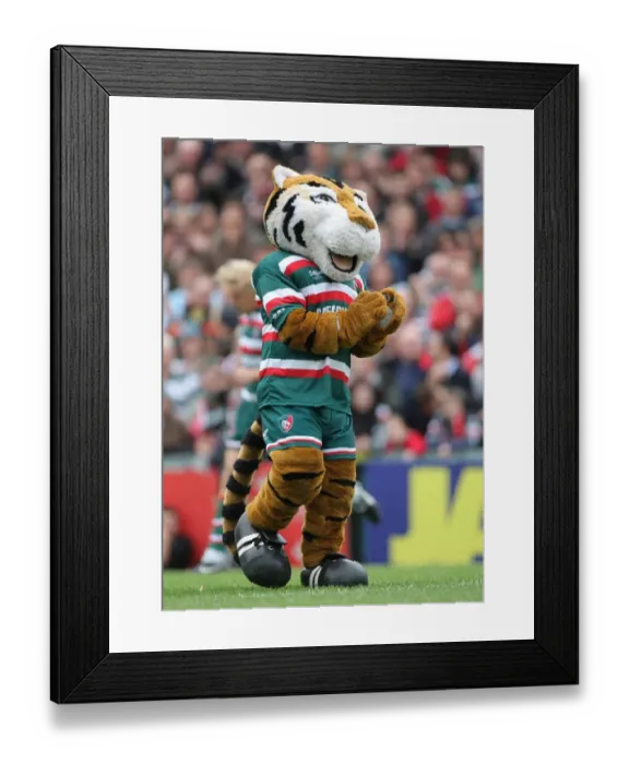 Framed Print : Leicester Tiger Framed Print : Leicester Tiger