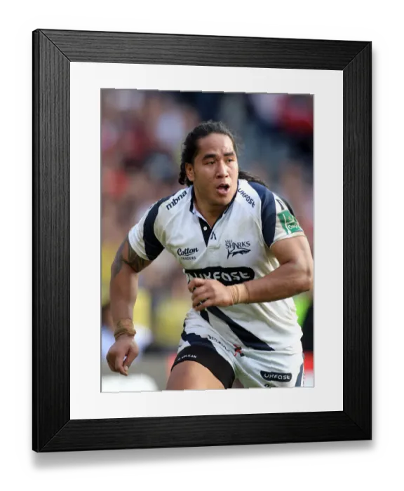 Framed Print : Andy Tuilagi Framed Print : Andy Tuilagi