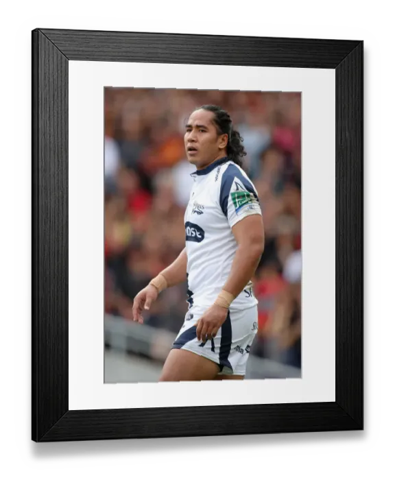 Framed Print : Andy Tuilagi Framed Print : Andy Tuilagi