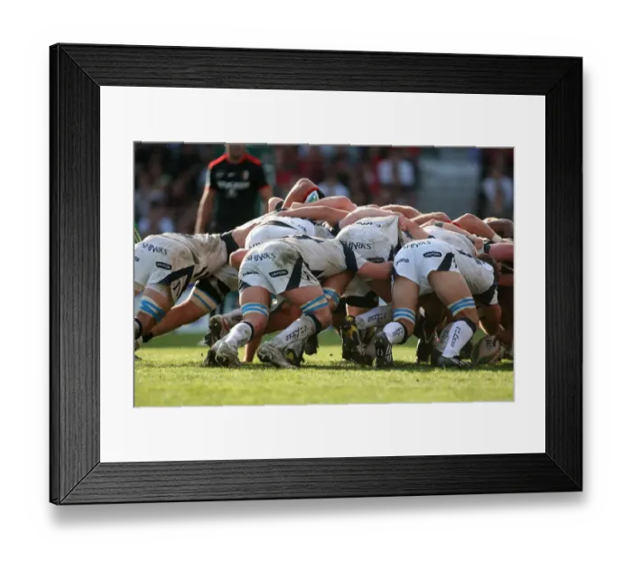 Framed Print : Sale Sharks Pack Framed Print : Sale Sharks Pack