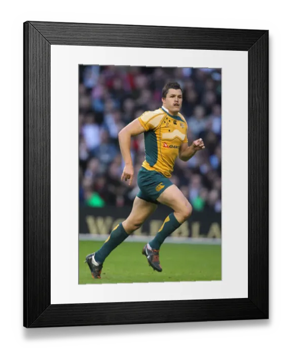 Framed Print : Adam Ashley-Cooper Framed Print : Adam Ashley-Cooper